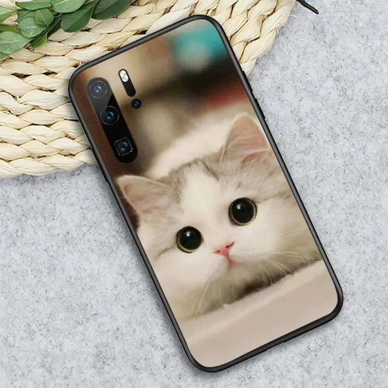 

Cat cute animal lovely pet luxury shell Phone Case cover For Huawei honor Mate P 10 20 30 40 i 9 8 pro x Lite smart 2019 nova 5t