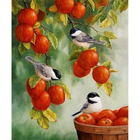 diy 5d diamond painting red apples birds full square diamond mosaic embroidery sale picture of rhinestones for festival gifts