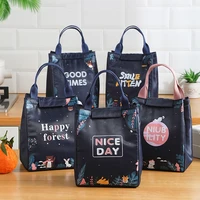 cooler lunch bag fashion ctue cat multicolor bags women waterpr hand pack thermal breakfast box portable picnic travel