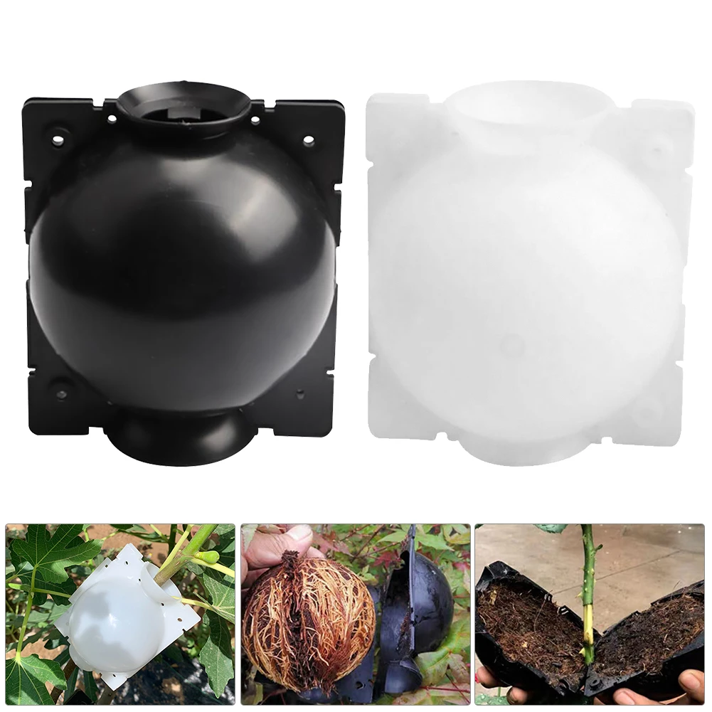 

5/8cm Root Growing Box Breeding In Propagator For 5Pcs Garden Planting Diameter Case Plant Root Grafting Rooting Box Pressure