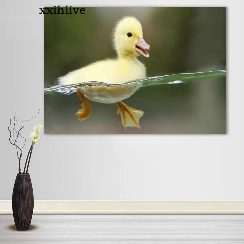 

Custom Cute Animal Little Duck Posters Art Silk Canvas Poster Bar Room Decoration Painting Home Decor 27x40cm,30x45cm,40x60cm
