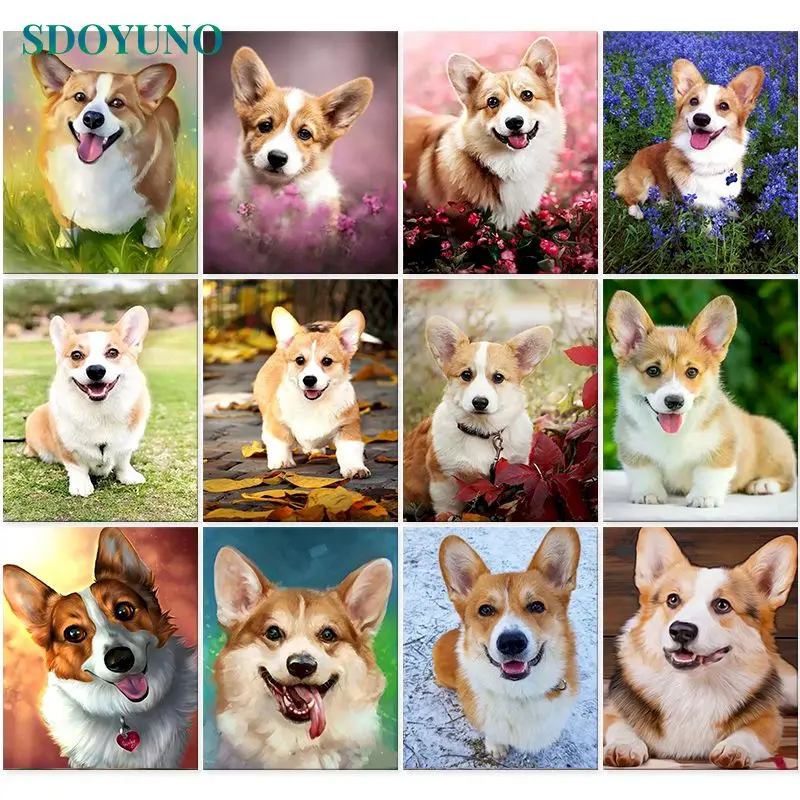 

SDOYUNO 60x75cm Abstract Paint By Numbers Kits On Canvas Corgi DIY Frameless Dog Oil Painting By Numbers Animals Hand Painting
