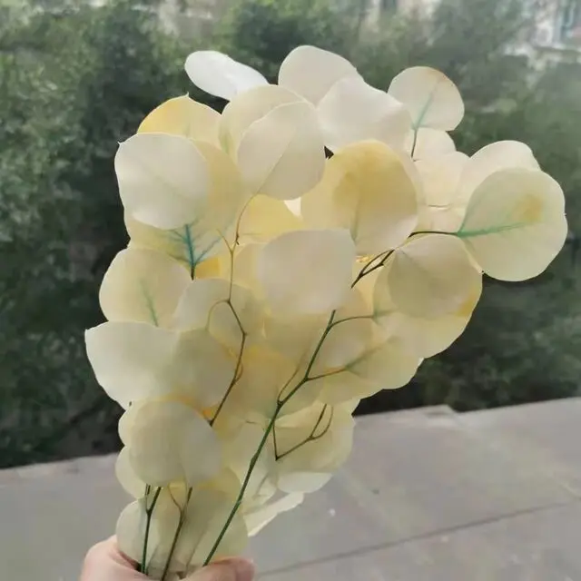 

50g/20-35cm,Natural Preserved Eucalyptus Leaves Bouquet,Eternal display arrange flowers for Wedding Home Decoration accessories