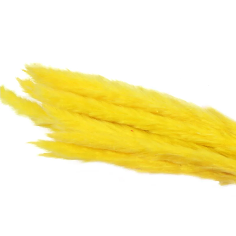 yellow 15 шт. сушеные маленькие пампасы трава Phragmites украшения для дома, отеля, свадьбы SLC88 - Цвет: yellow