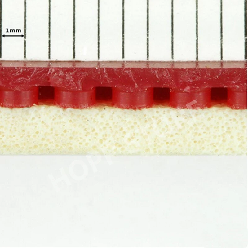 

DHS TINARC 5 table tennis rubber original pips-in TINARC-5 DHS ping pong sponge