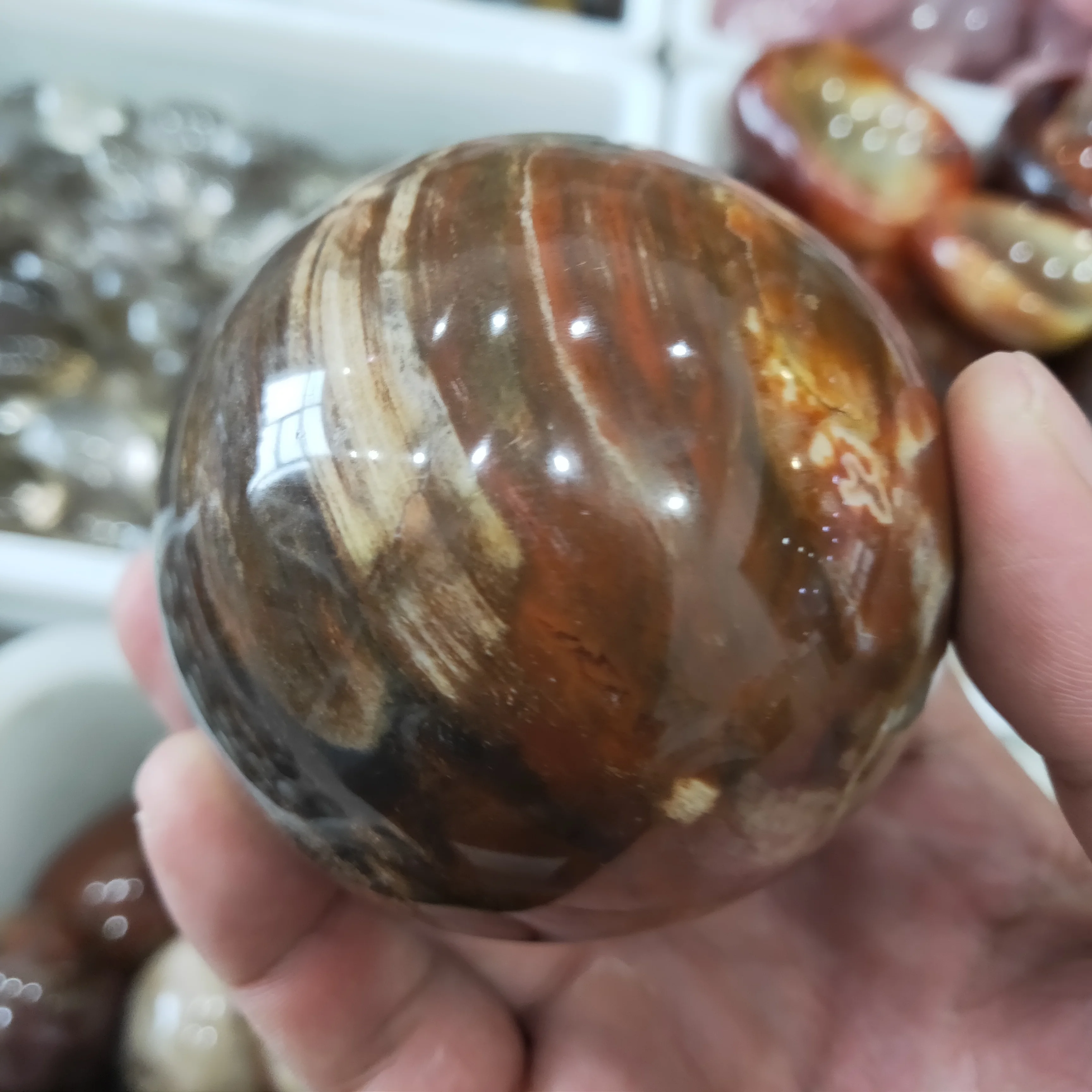 50-60 мм оптовая продажа низкая цена шар из натурального камня ископаемого дерева