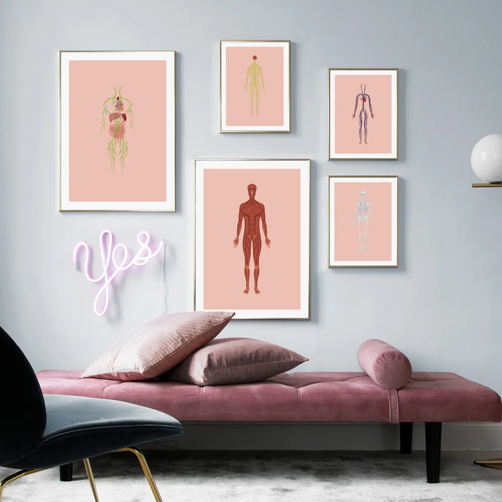 Абстрактная Анатомия человеческого тела мышцы настенное искусство холст