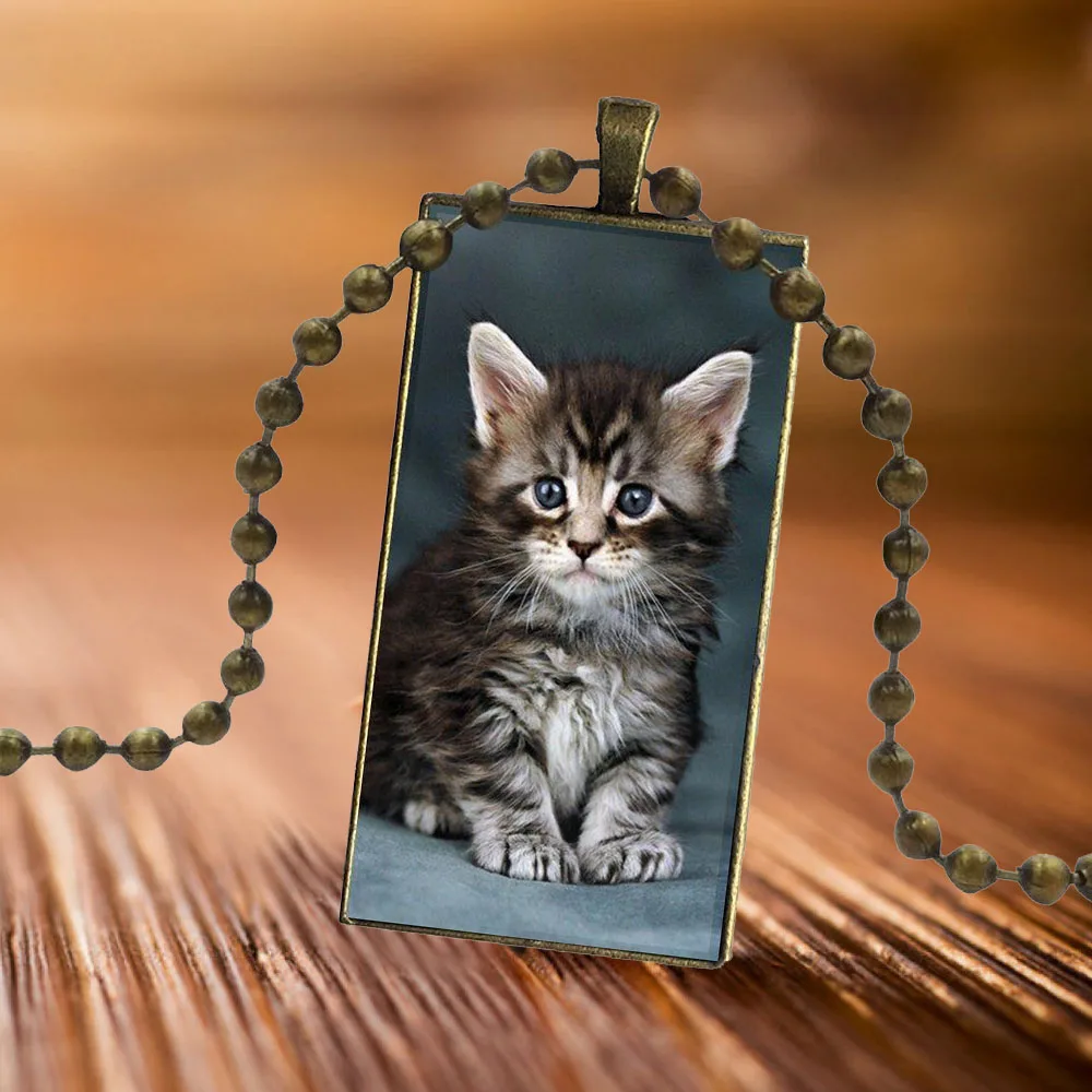 Pet Мейн кота серебристого цвета для женщин Ретро стиль дизайн Модные Винтажные