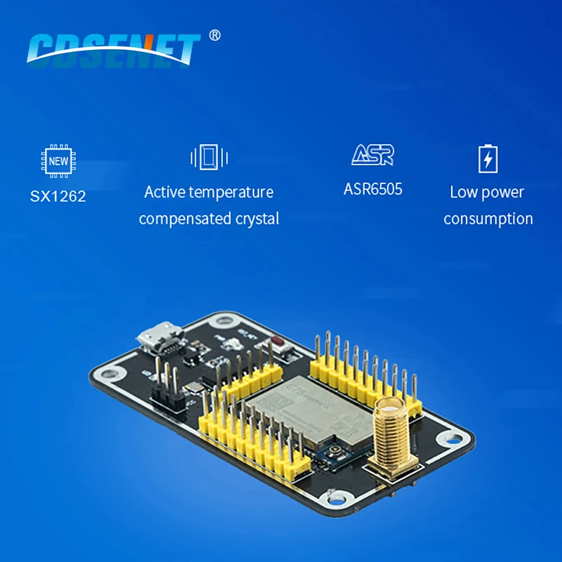 ASR6505 E78-900TBL-01A Test Board Kit USB To TTL Development Board CDSENET for E78-900M22S1A Wireless Module