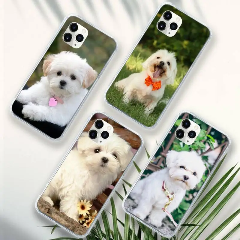 

Maltese Dog Puppy cute animal Phone Case Transparent soft For iphone 12 11 13 7 8 6 s plus x xs xr pro max mini