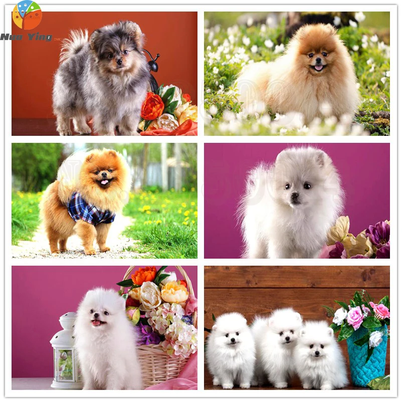 Алмазная живопись с собакой 5D алмазная вышивка своими руками Померанская