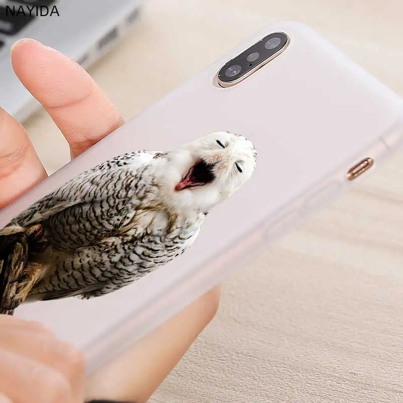 Мягкий чехол для телефона Samsung Galaxy A10 A20 E A30 A40 A70 A50 A60 A80 A90 a10s a20s a30s a70s M40 Owl Snow |