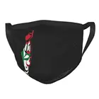 Маска для лица, не одноразовая, с изображением карты Палестины на арабском языке, маска против смога, респиратор, маска для рта