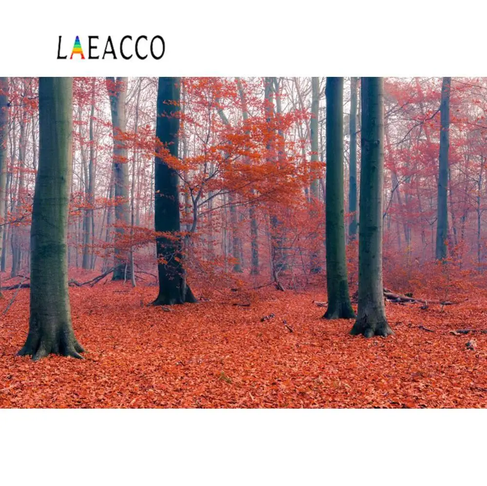 Laeacco осенний лес фоны старый дерево скобы павшие листья таинственный путь