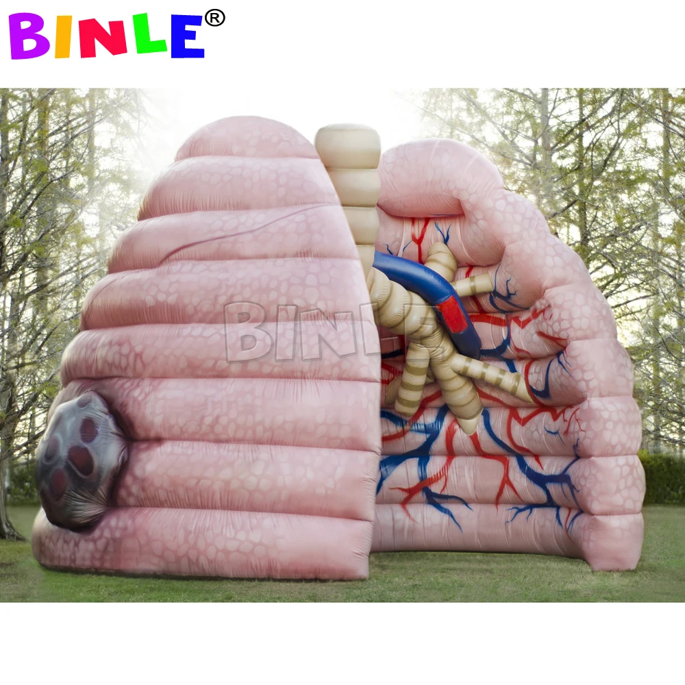 School Teaching Giant Inflatable Lung Model Medical Event Display Human Organs Balloon