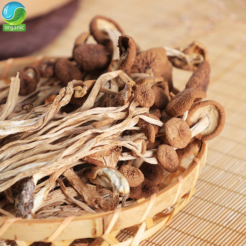 

Tree Mushrooms,Agrocybe Cylindracea,Agrocybe Aegerita,Agrocybe Chaxingu Edible Fungi Healthy Dried Mushrooms,ChaShuGu
