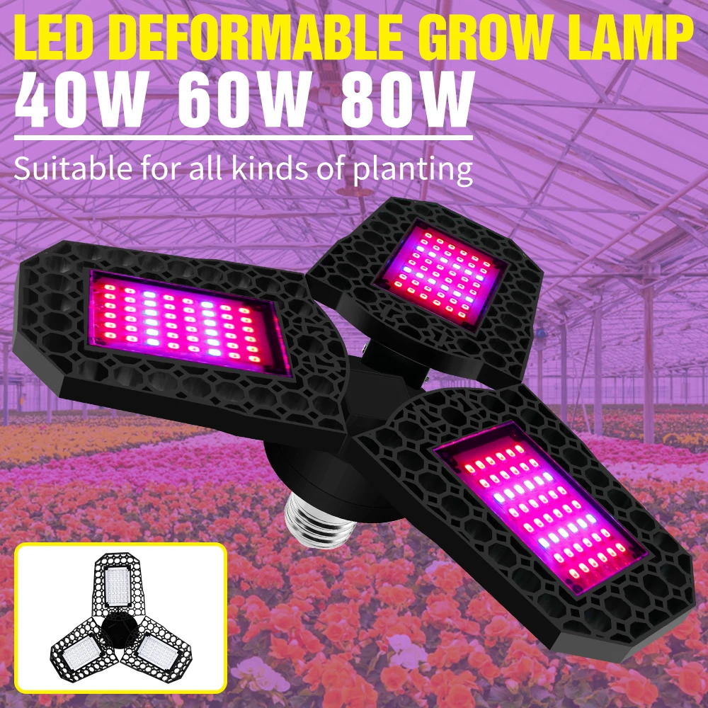 Hydroponic Full Spectrum E27 Led 220v Plants Lamp 40w 60w 80 W Indoor Growing Bulb For Veg Flower Growbox