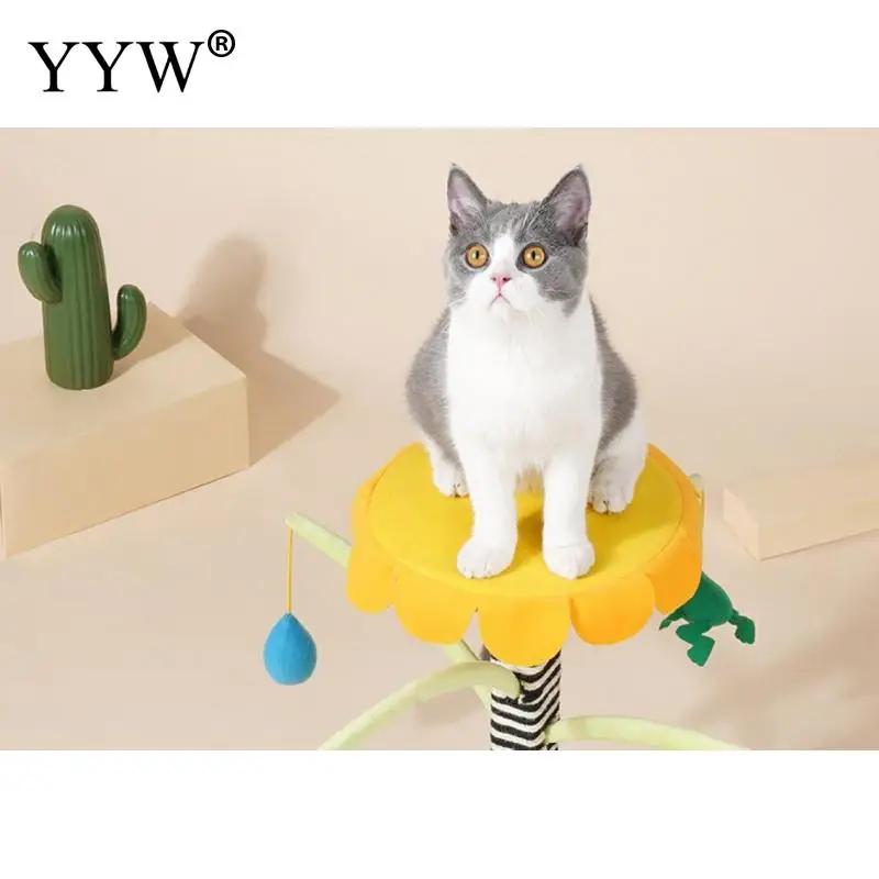 

Garden Hanging Ball Cat Frame Cat Climbing Frame Multifunctional Scratching Post Cat Climbing Post Cat Jumping Platform Cat Toy