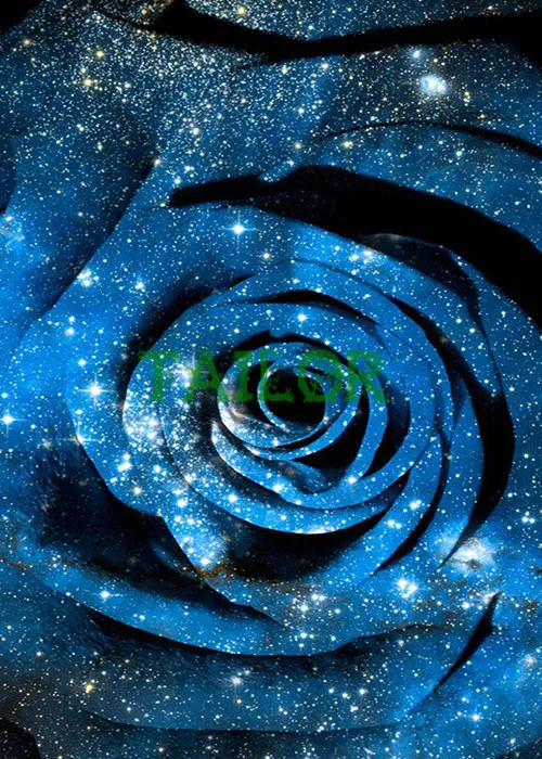 Полностью квадратные настенные наклейки крестиком 5D Алмазная Картина Набор haft