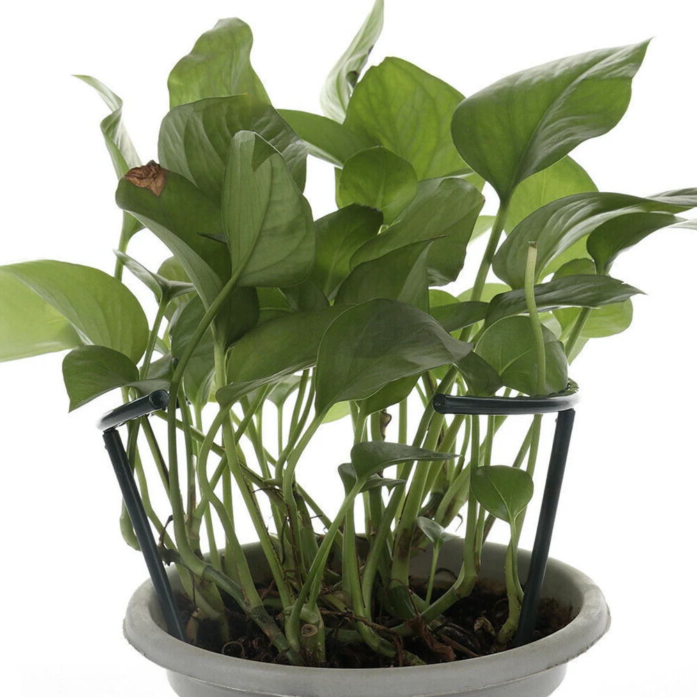 6 шт Пластик поддержка цветок DIY конструкция для лазания розы растений стойка