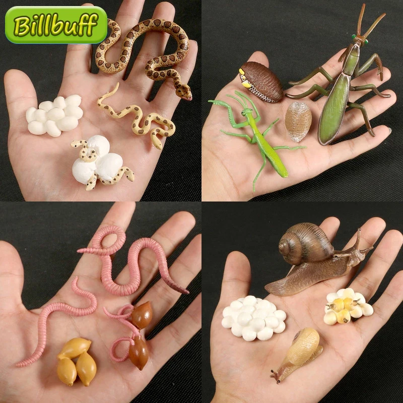 Модель зоопарка имитация диких животных цикл роста набор игрушек Кобра улитки Ant