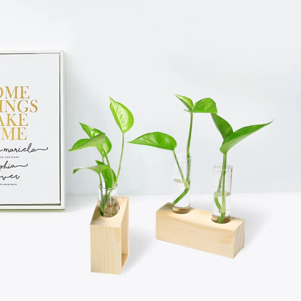 Гидропоника цветочный горшок украшения пробирка вазы настольные растения