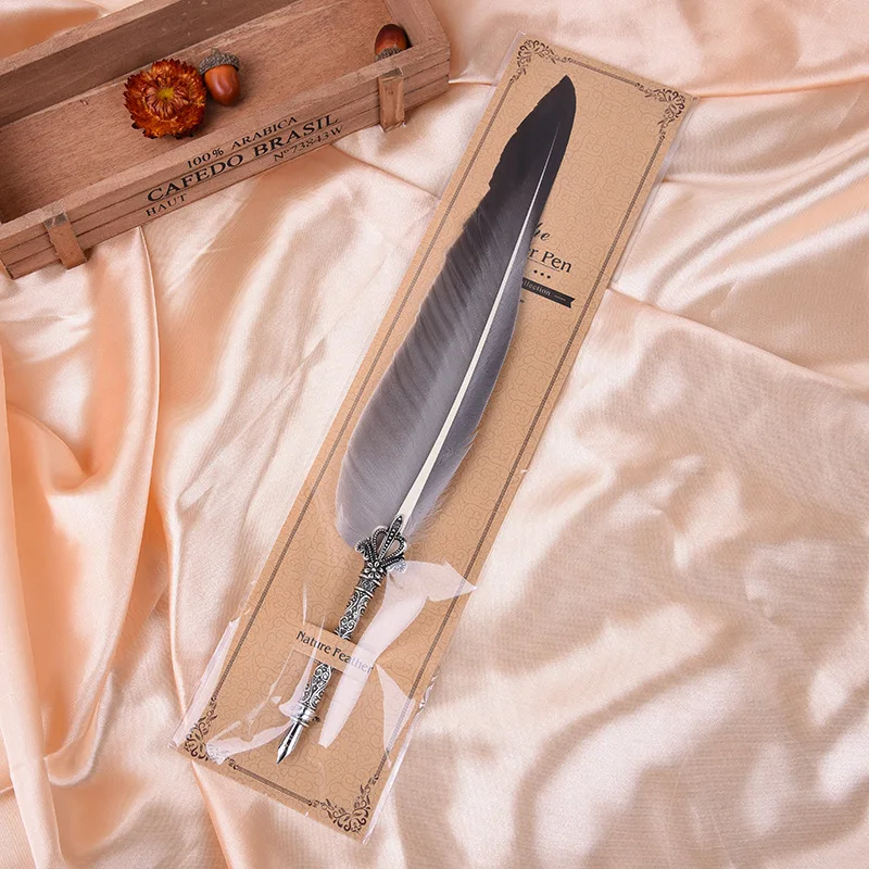 Перьевая ручка AP180 металлическая с изображением перьев для каллиграфии