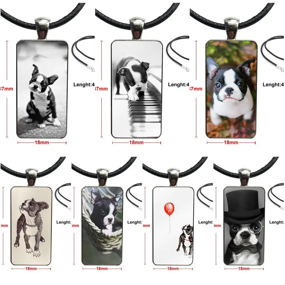 Бостонский терьер щенков для собак девочек подарок из нержавеющей стали цвет