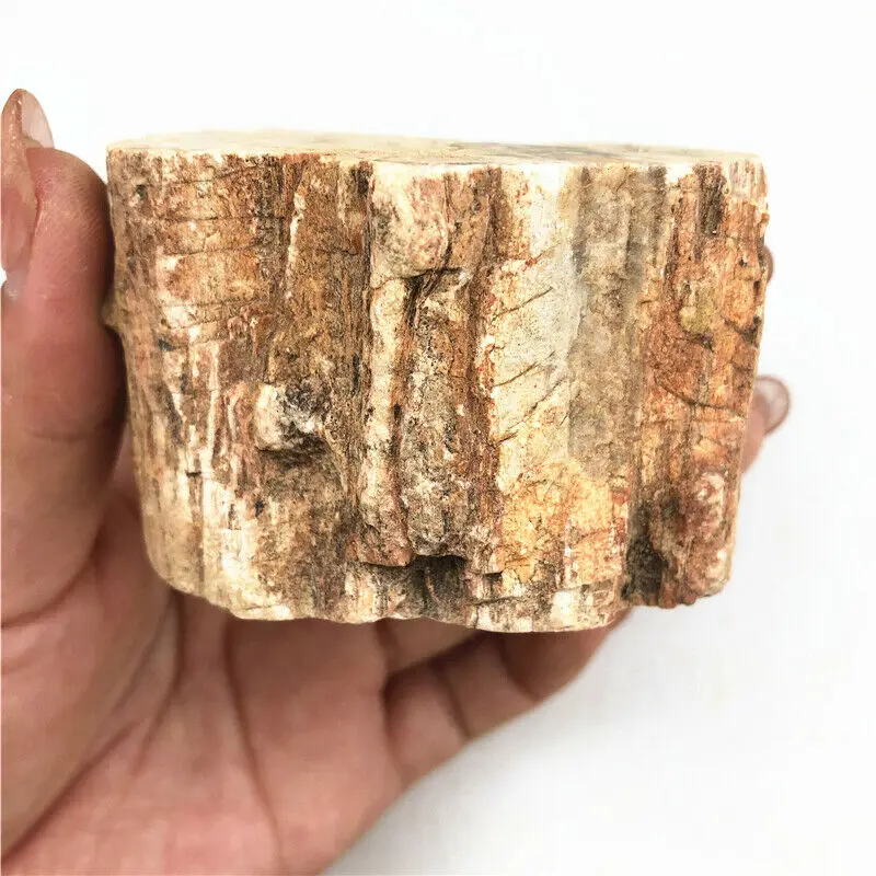 Натуральные кварцевые кристаллы древесного камня Fossil дерево для горки украшение