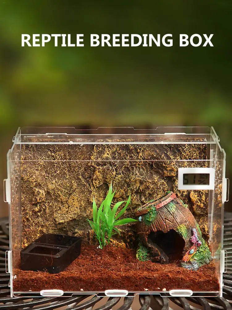 Acrylic Reptile Feeding Box Insect Lizard Spider Breeding Cage Hatching Container All-round Transparent |