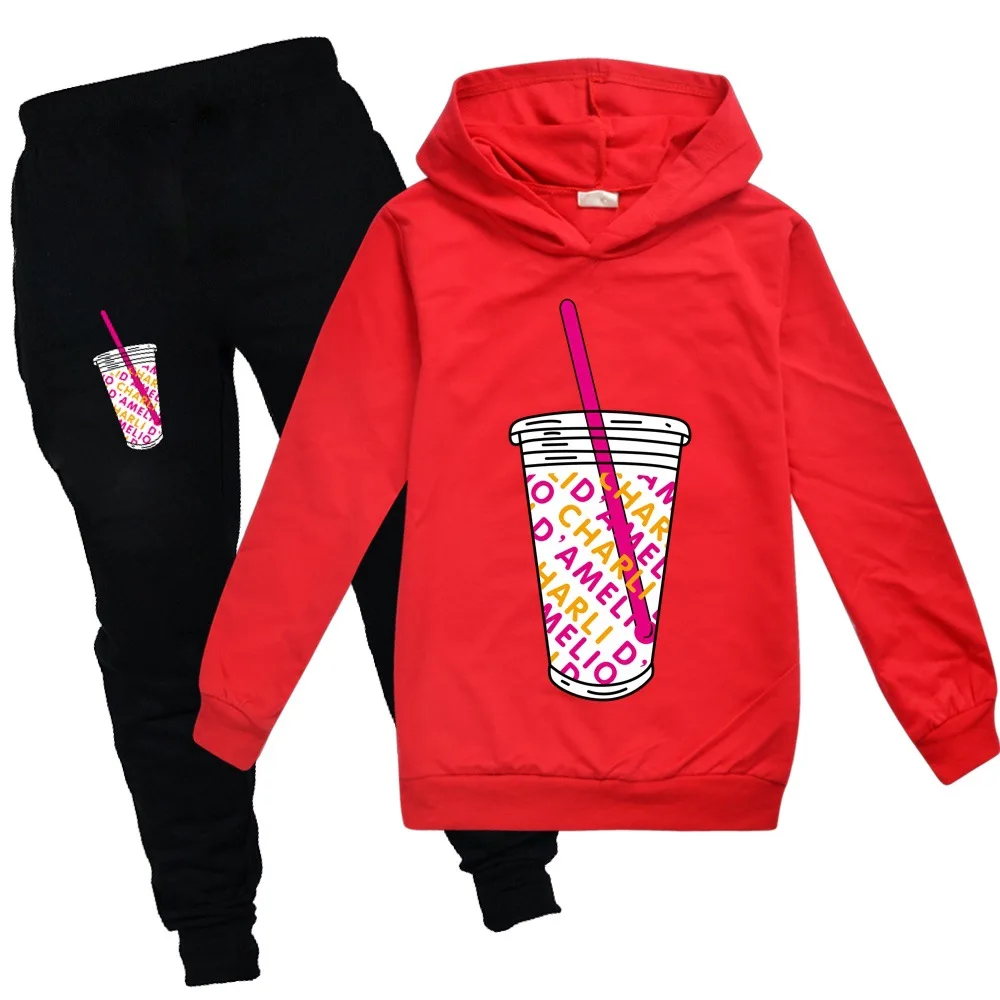 New Kids Hype House Costume for girls Boys Christmas Clothing Long Sleeve Children Sport Suits Hoodies Tops T-shirt +Pants Sets |