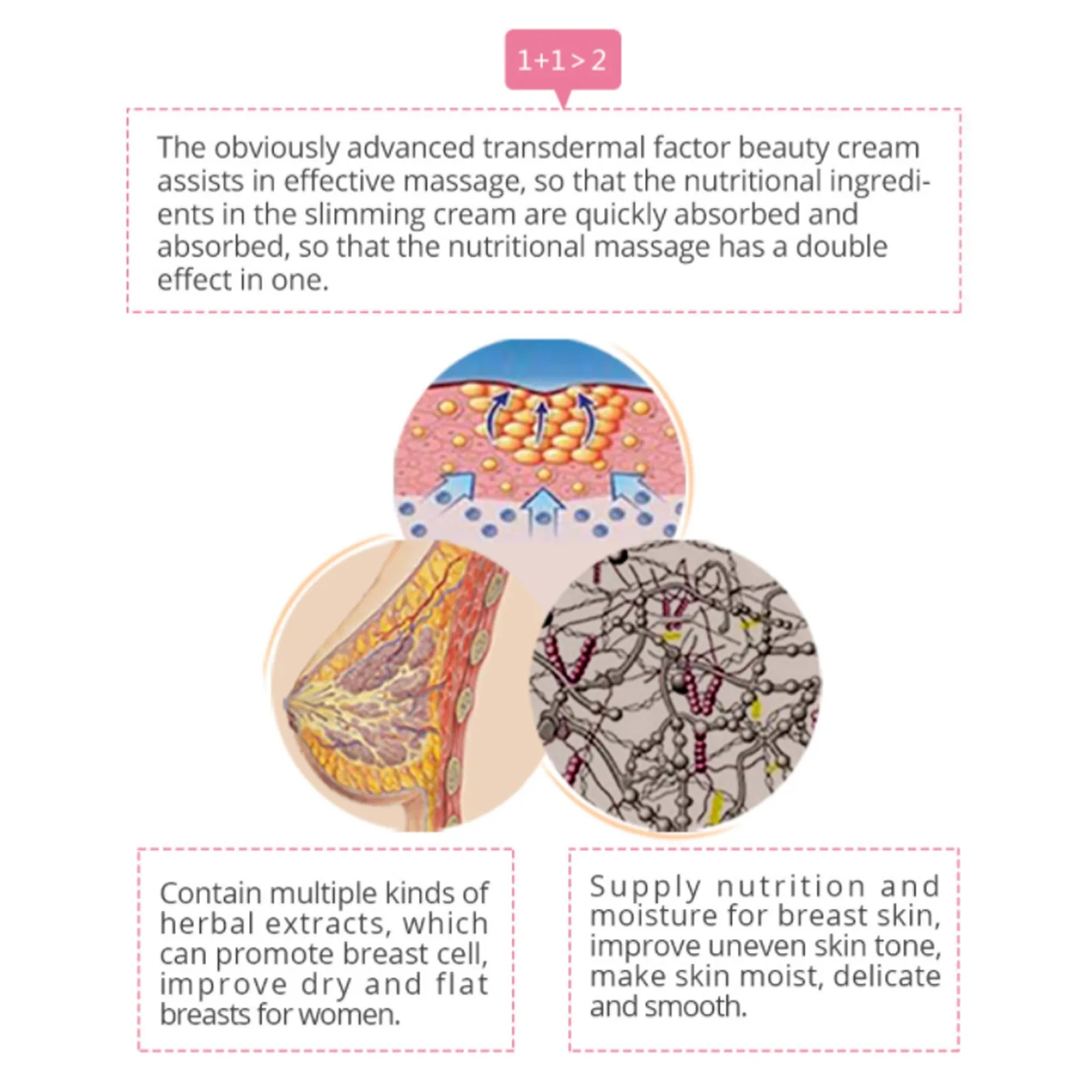 Крем для увеличения груди MSLAM эффективный полной эластичности стянутости