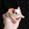 Изображение товара 0