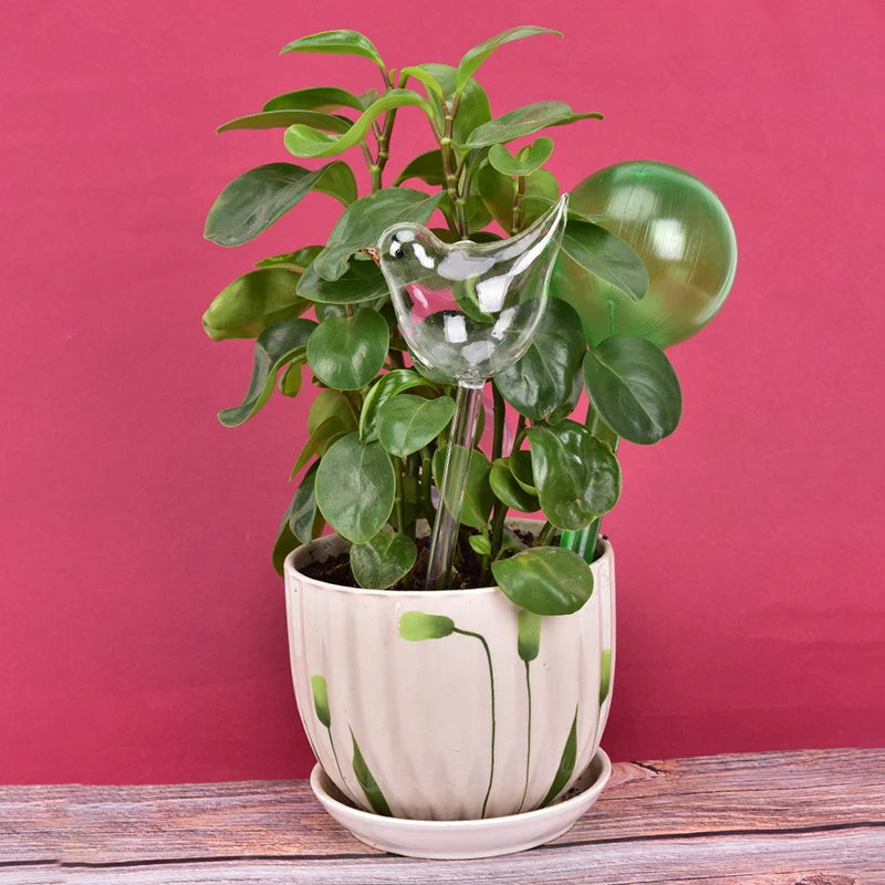 1PCS Plant Self Watering Globe Plants Water Bulbs Bird Shape Clear Glass Device | Дом и сад