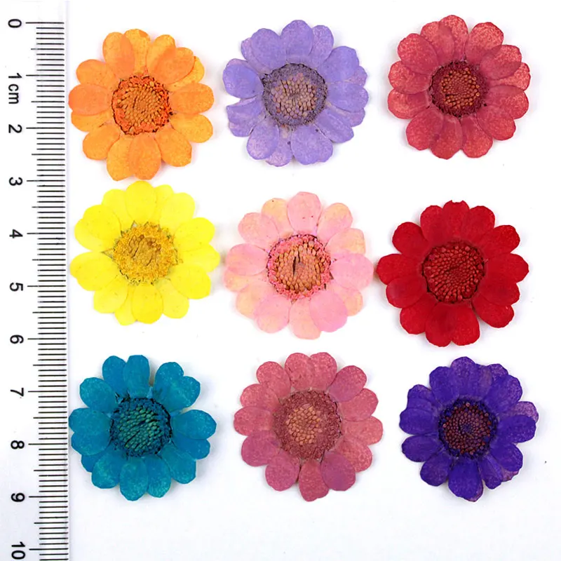 

Latest Yellow Chrysanthemum Diameter 2-3CM Pressed Flowers Arrangements For Bookmark Material 120 pcs