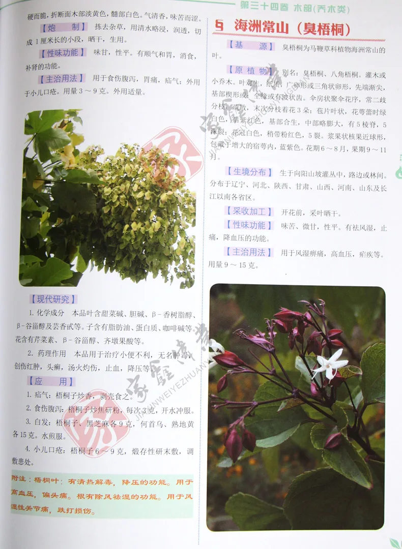 Книга раскраска из материала медика содержит более 1000 видов китайских лекарств