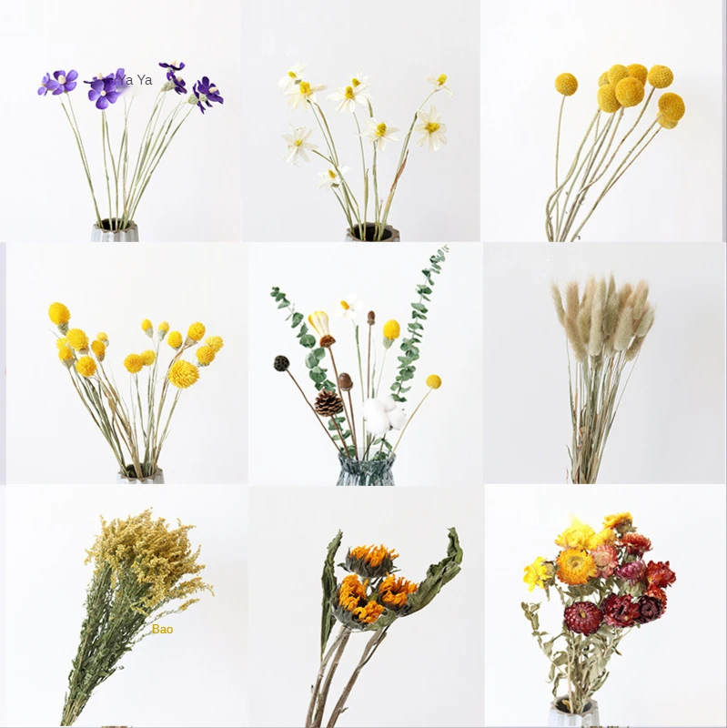 

Dried Flower Bouquet DIY Materials Decorate Eternal Flowers, Gypsophila, Living Room Decoration