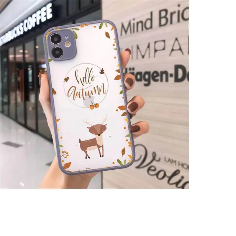 

autumn pumpkins and Fallen leaves Phone Case matte transparent For gray iPhone 7 8 x xs xr 11 12 pro plus max mini Funda Clear
