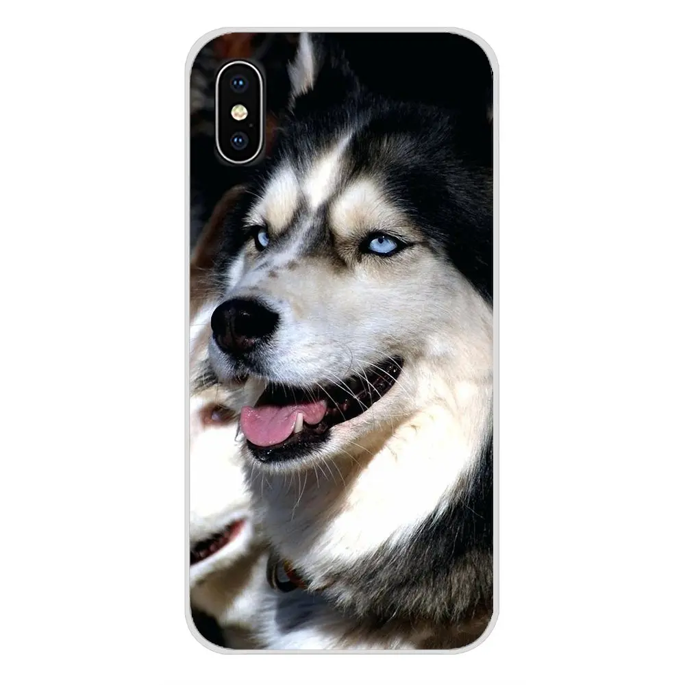 Аксессуары чехлы для телефонов Чехлы с животными Хаски щенок Samsung Galaxy J1 J2 J3 J4 J5 J6 J7
