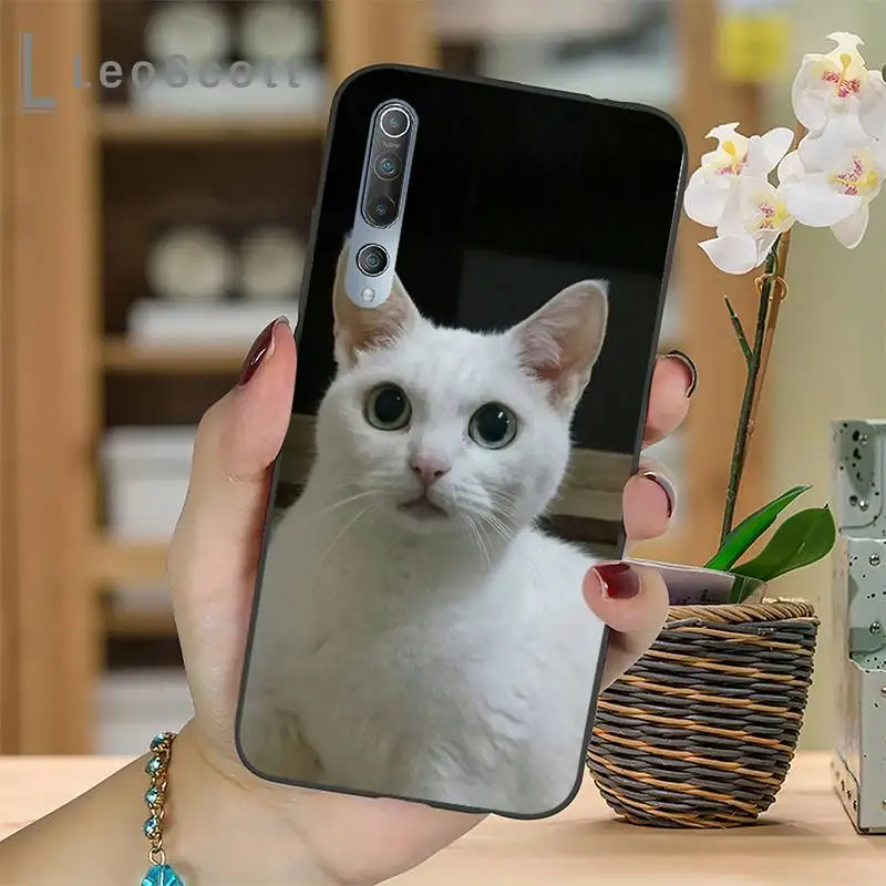 

squishy lovely cat Phone Case For Xiaomi mi Redmi note 7 8t 9 9t 9s 8 10 10t 11 pro lite K20 max 3