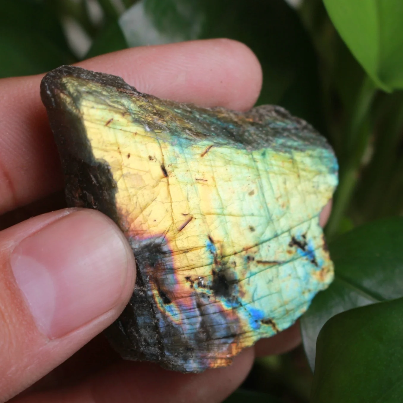 1PC 20-40g Natural Labradorite Mineral Specimen one face polished stone Rough Reiki Gemstone Healing | Дом и сад