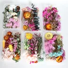 1 коробка, разные сухие цветы, декоративные натуральные Цветочные наклейки для красоты, наклейки для дизайна ногтей, эпоксидная смола, форма, изготовление ювелирных изделий своими руками