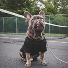 Собаки Футболка для маленьких собак Горячая Распродажа; Летняя футболка для панель в форме французского бульдога Одежда для питомцев, чихуахуа Щенка Мопса XS-2XL PC1035
