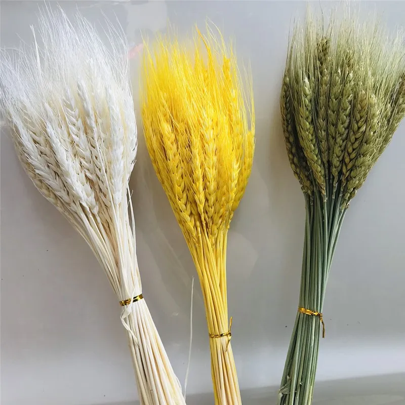 

100Pcs/lot DIY Craft Scrapbook Home Decor Wheat Bouquet Real Wheat Ear Flower Natural Dried Flowers For Wedding Party Decoration