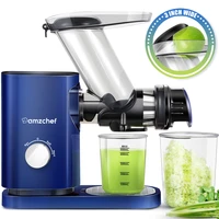 amzchef juicer fruit extractor slow masticating juicer cold press juicer vegetablesfruits extractor 3 large feed chute