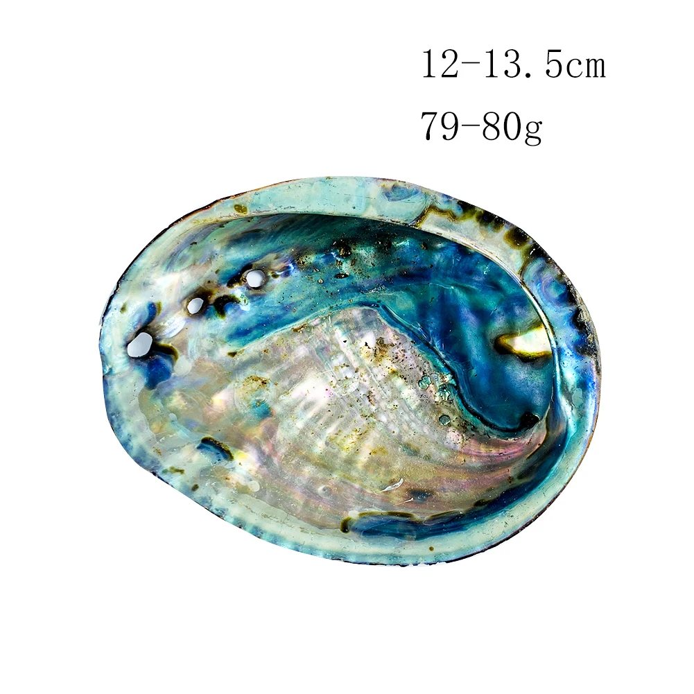 

12-13cm Large Abalone Shell Natural Seashell Nautical Home Decor Soap Holder Specimen Beach Wedding Decor Aquarium Landscape