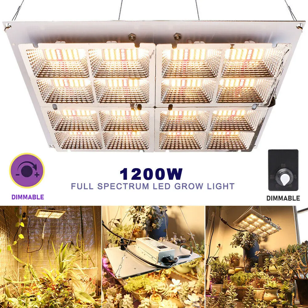 New Dimmable LED Grow Light Growing Lamp Full Spectrum Sunlike Fitolamp Plant Lighting for bloom growth tent greenhouse