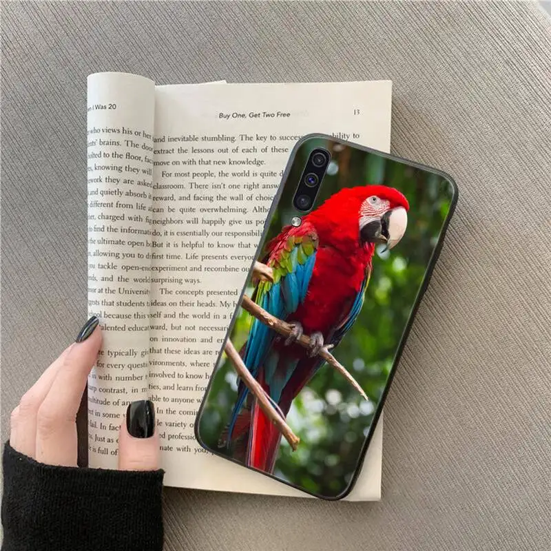 

parrot cute birds animal Phone Case For Samsung galaxy A S note 10 7 8 9 20 30 31 40 50 51 70 71 21 s ultra plus