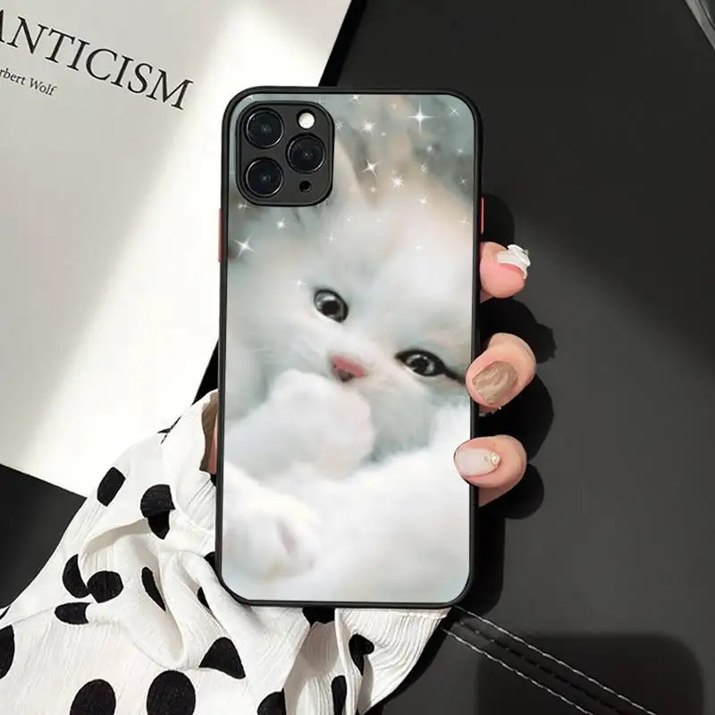 

Cat cute lovely animal Phone Case matte transparent For iphone 7 8 11 12 plus mini x xs xr pro max luxury shell coque cover