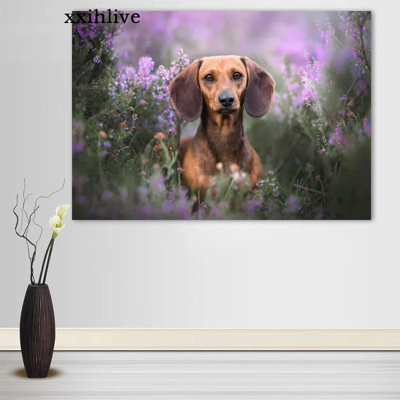 

Custom Cute Pet Dog Dachshund Posters Art Silk Canvas Poster Bar Room Decoration Painting Home Decor 20x30cm,30x45cm,40x60cm